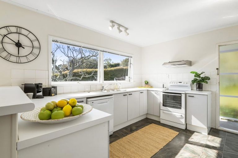 Photo of property in 46 Alton Avenue, Hillcrest, Auckland, 0627