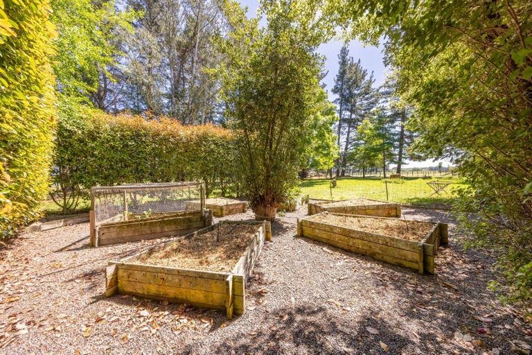 Photo of property in 5 Sydney Street, Takapau, 4203