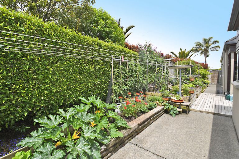 Photo of property in 26 Ashmore Crescent, Warkworth, 0910