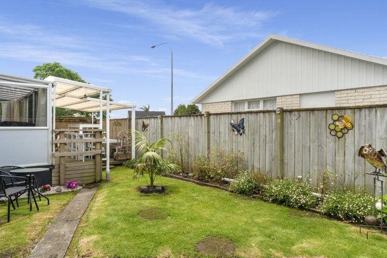 Photo of property in 303a Maungatapu Road, Maungatapu, Tauranga, 3112