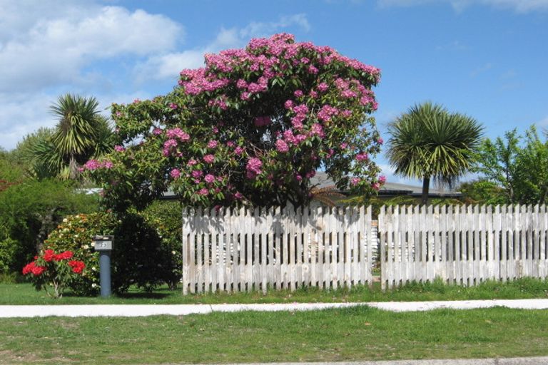 Photo of property in 23 Rimu Street, Taupo, 3330