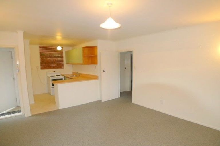 Photo of property in 132u1 Curtis Street, Northland, Wellington, 6012