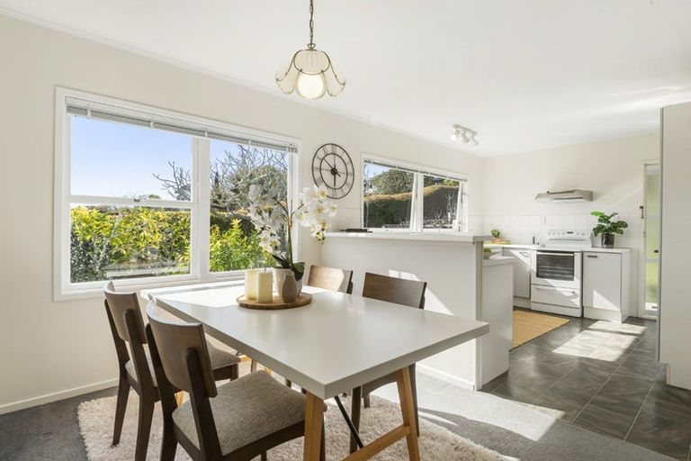 Photo of property in 46 Alton Avenue, Hillcrest, Auckland, 0627