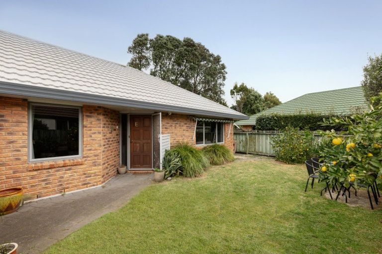 Photo of property in 171e Maungatapu Road, Maungatapu, Tauranga, 3112