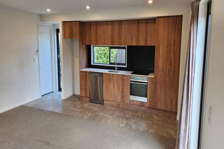 Photo of property in 58 Edward Avenue, Edgeware, Christchurch, 8013