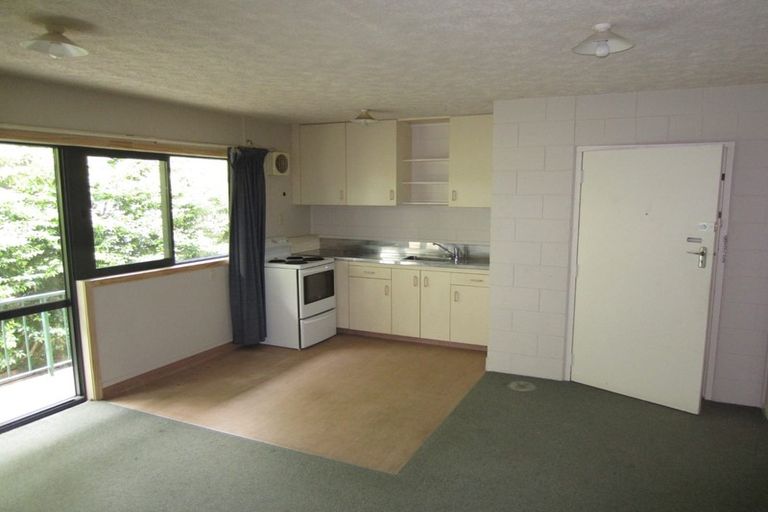 Photo of property in 14u9 Hardley Street, Whitiora, Hamilton, 3200