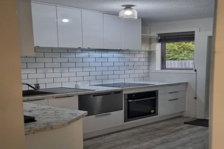 Photo of property in 2/101 Brougham Street, Addington, Christchurch, 8024