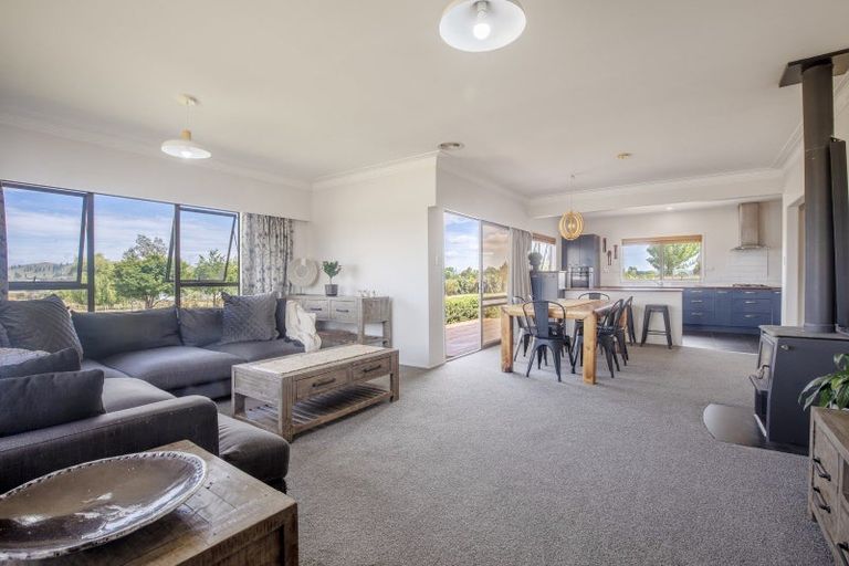 Photo of property in 381 Racecourse Road, Waipukurau, 4282