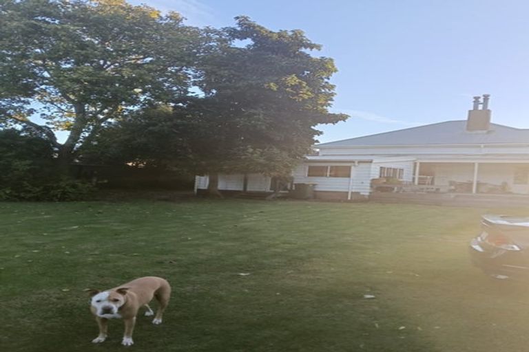 Photo of property in 27 King Street, Te Puke, 3119