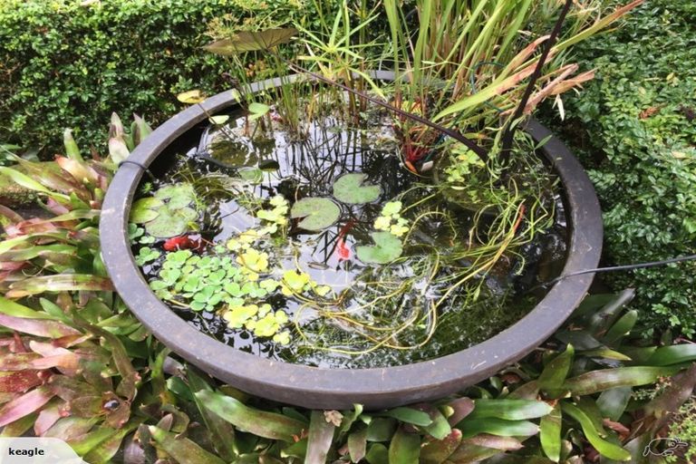 Photo of property in 1 Haines Terrace, Aro Valley, Wellington, 6021