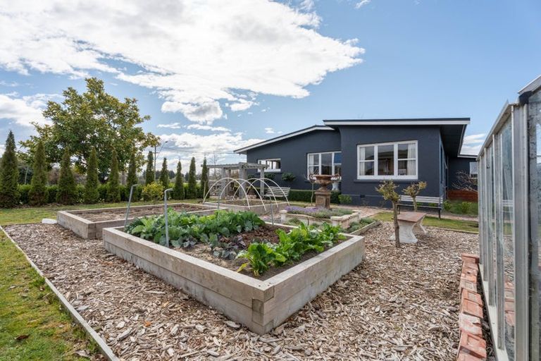 Photo of property in 65 Timaru Road, Waimate, 7924