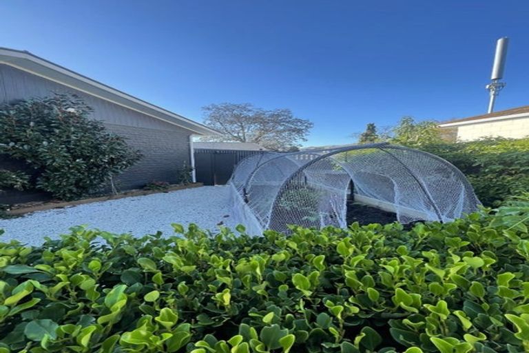 Photo of property in 9 Eva Crescent, Witherlea, Blenheim, 7201