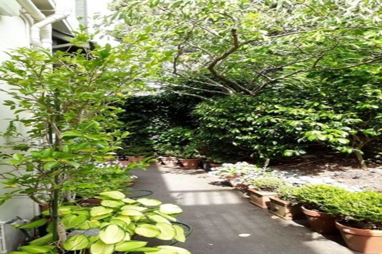 Photo of property in 16a Hadfield Terrace, Kelburn, Wellington, 6012