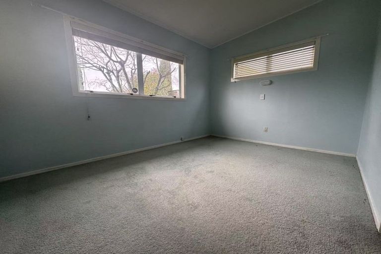 Photo of property in 19 Queenwood Avenue, Queenwood, Hamilton, 3210