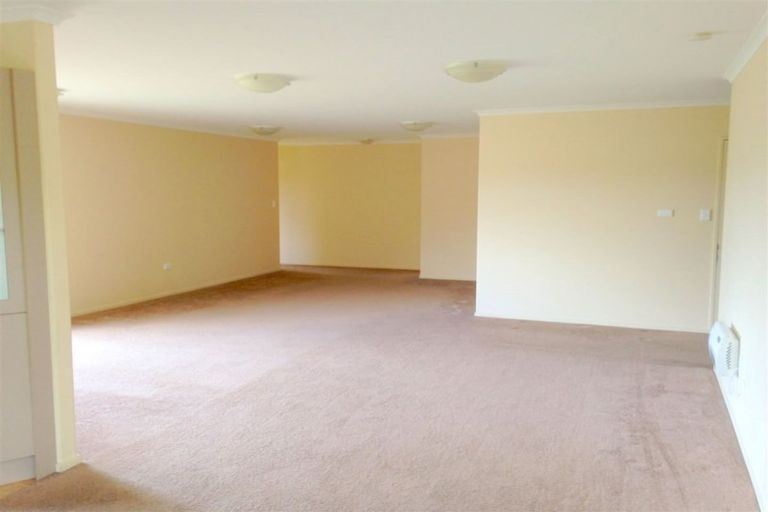 Photo of property in 45 Merlot Drive, Pyes Pa, Tauranga, 3112