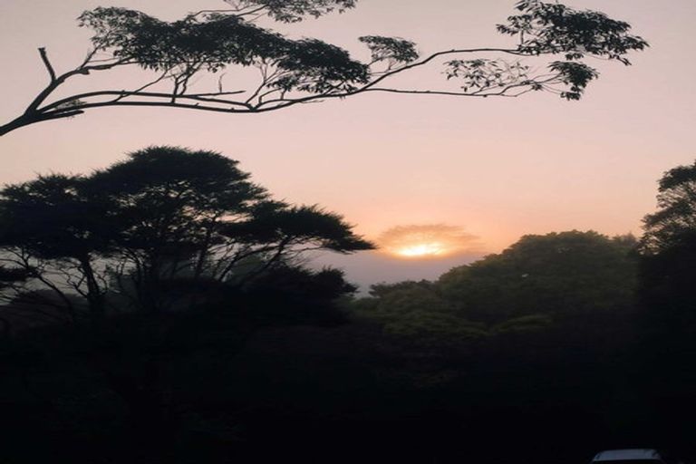 Photo of property in 10 Ketu Court, Albany Heights, Auckland, 0632