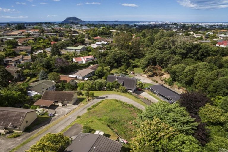 Photo of property in 297a Otumoetai Road, Otumoetai, Tauranga, 3110