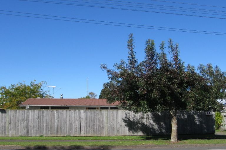 Photo of property in 118 Arapuni Street, Putaruru, 3411