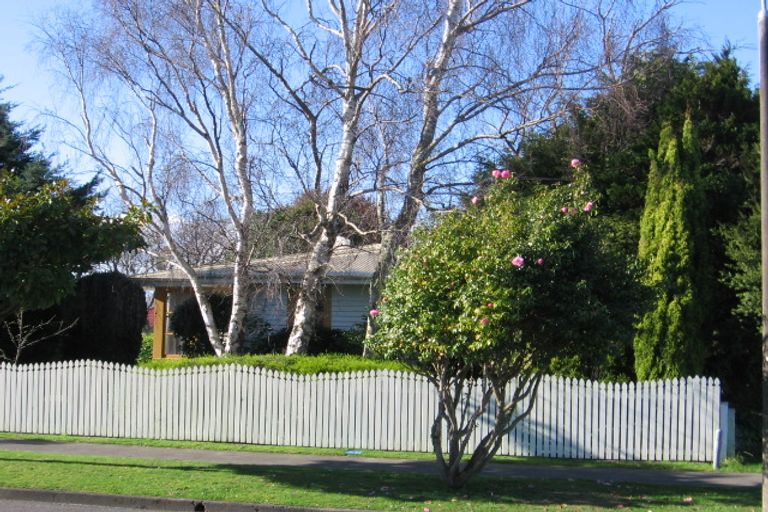 Photo of property in 46 Park Road, West End, Palmerston North, 4412