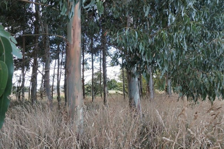 Photo of property in 13 Edievale Road, Edievale, Tapanui, 9587