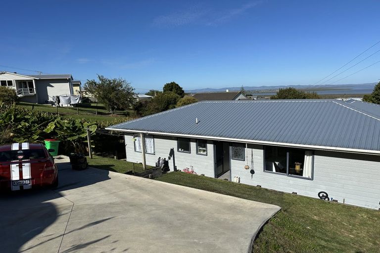 Photo of property in 107 Danby Street, Thames, 3500