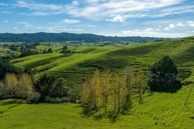 Photo of property in 1572 Ruapekapeka Road, Kawakawa, 0182