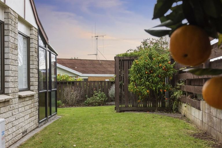 Photo of property in 268b Ngatai Road, Otumoetai, Tauranga, 3110