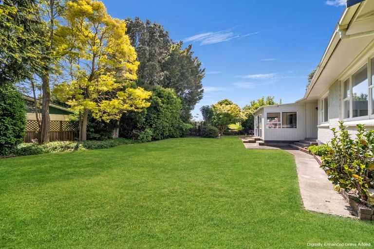 Photo of property in 81 College Road, Edgecumbe, 3120