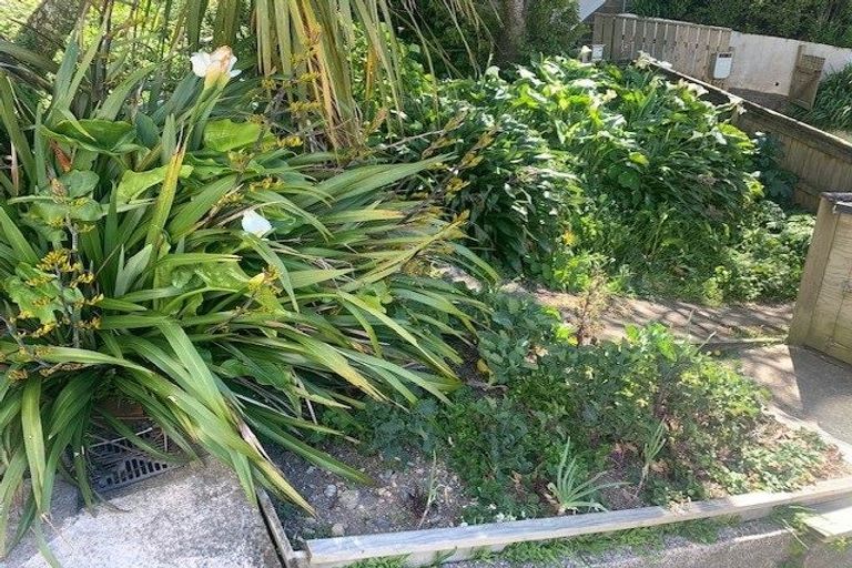 Photo of property in 77 Todman Street, Brooklyn, Wellington, 6021