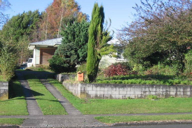 Photo of property in 63 Elizabeth Drive, Tokoroa, 3420