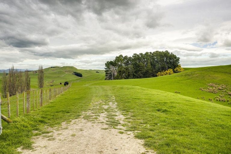 Photo of property in 226 Ongaonga Road, Waipawa, 4272