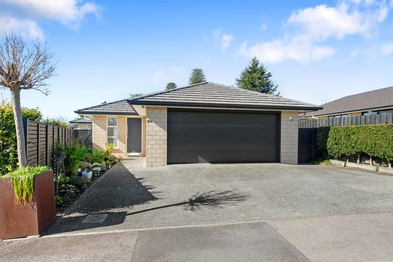 Photo of property in 18a Parkvale Road, Otumoetai, Tauranga, 3110
