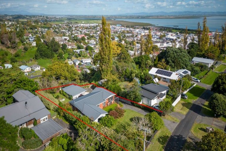 Photo of property in 115 Irishtown Road, Thames, 3500