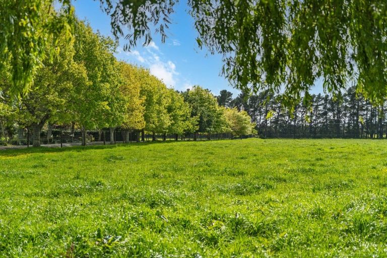 Photo of property in 10 Moore Street, Milton, 9220