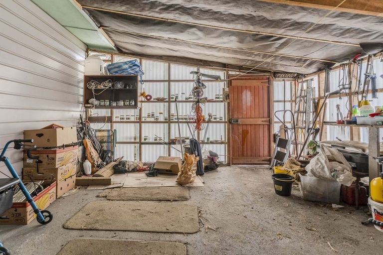 Photo of property in 21 Bradshaw Street, South Dunedin, Dunedin, 9012