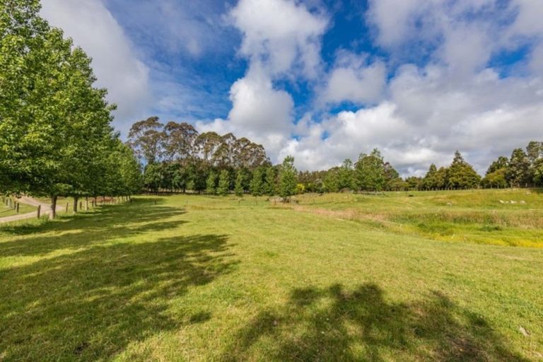 Photo of property in 37 Macadamia Lane, Waipapa, Kerikeri, 0295