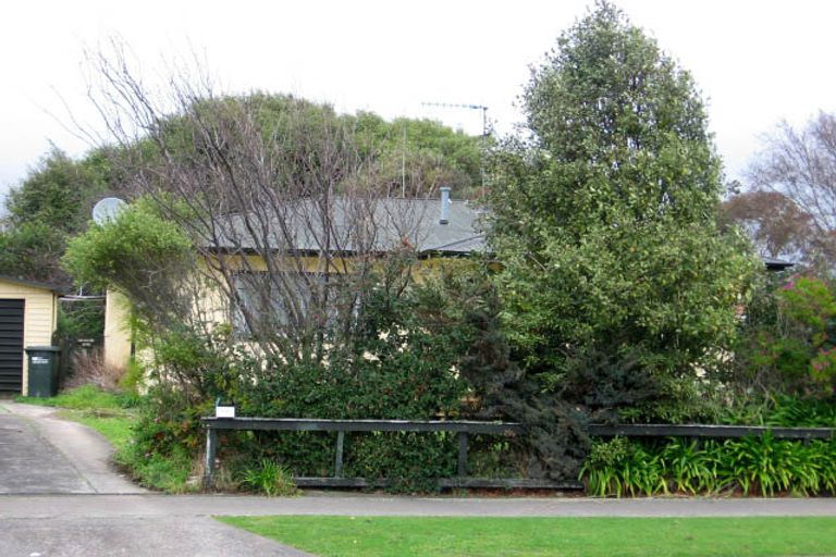 Photo of property in 117 Rugby Street, Awapuni, Palmerston North, 4412