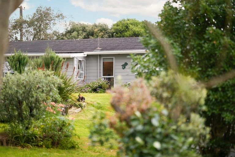 Photo of property in 49 Paetawa Road, Peka Peka, Waikanae, 5391