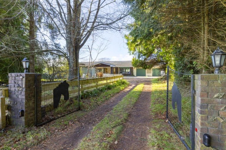 Photo of property in 146 Oruanui Road, Wairakei, Taupo, 3384