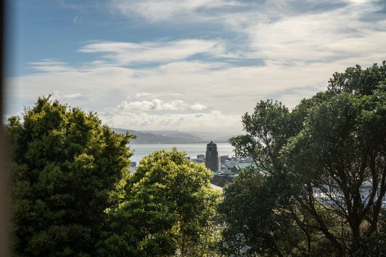 Photo of property in 5/45 Bidwill Street, Mount Cook, Wellington, 6021