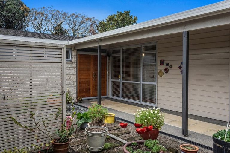 Photo of property in 31 Martin Place, Whakatane, 3120