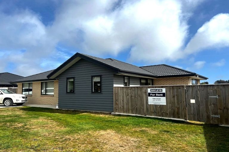 Photo of property in 93 Fairfield Road, Levin, 5510