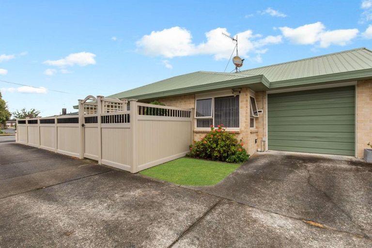Photo of property in 61 Winchester Street, Levin, 5510