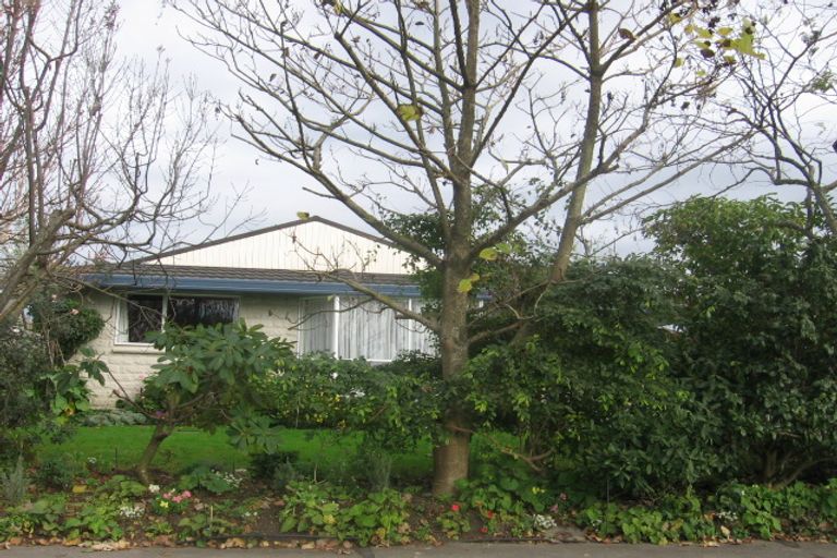Photo of property in 184 Amberley Avenue, Highbury, Palmerston North, 4412