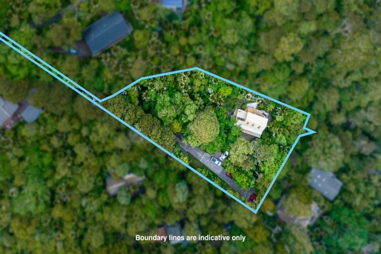 Photo of property in 576c South Titirangi Road, Titirangi, Auckland, 0604