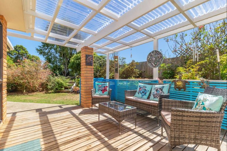 Photo of property in 223 Heatherlea East Road, Levin, 5571