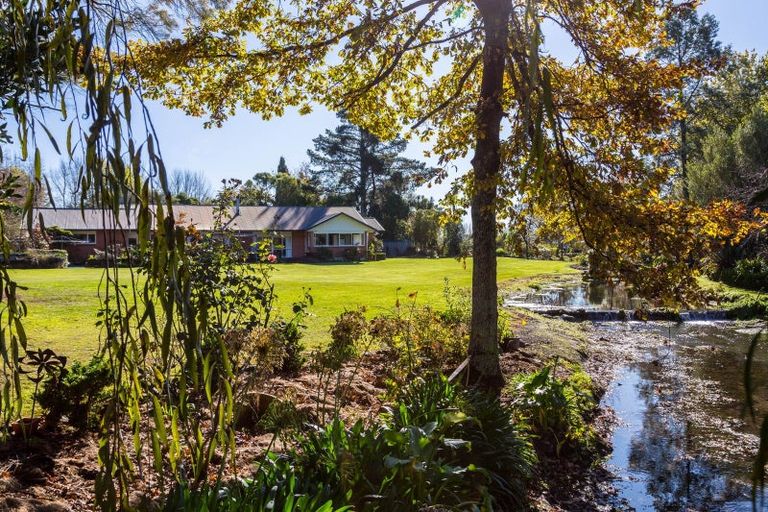 Photo of property in 45 Holdsworth Road, Homebush, Masterton, 5810