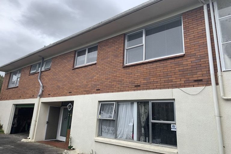 Photo of property in 19 Moloney Terrace, Pukekohe, 2120