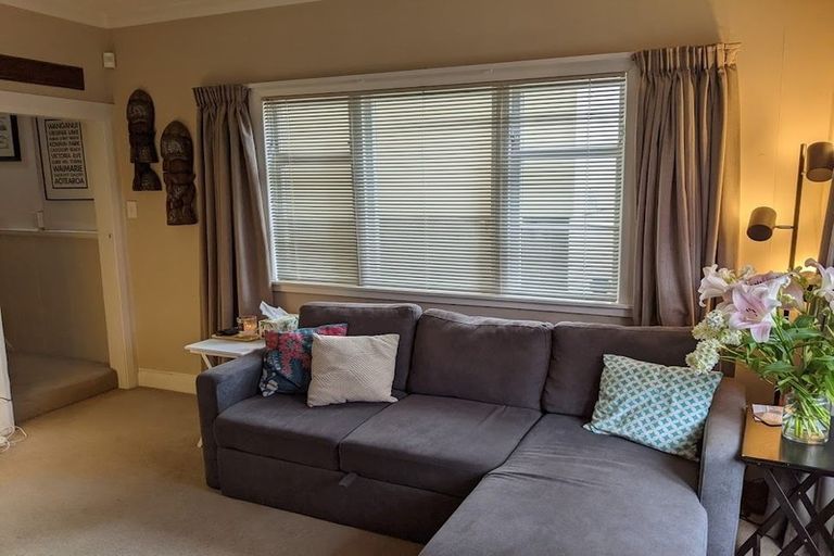 Photo of property in 30 Sussex Street, Mount Cook, Wellington, 6021