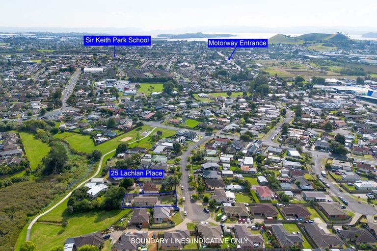 Photo of property in 25 Lachlan Place, Favona, Auckland, 2024
